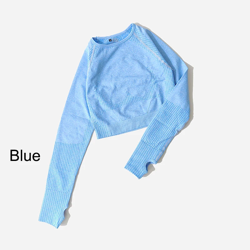 Seamless Long Sleeve Crop Top